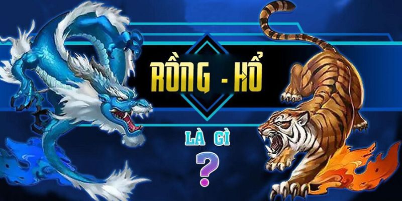 Hướng dẫn chơi rồng hổ online cho người mới