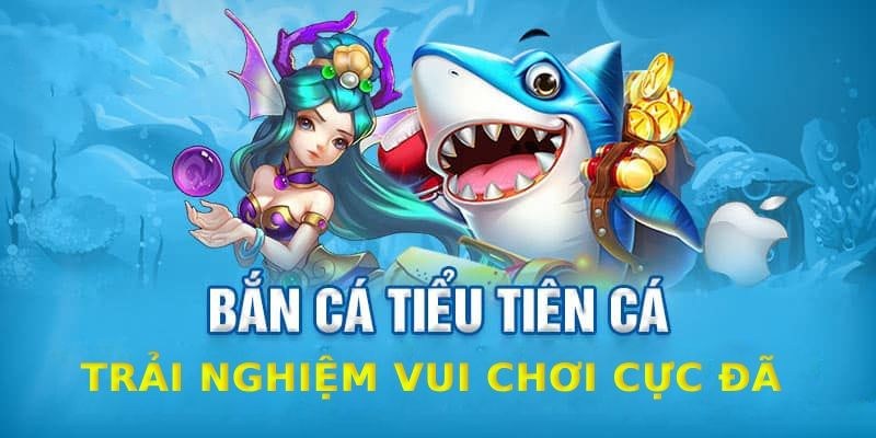 Tổng quan về game bắn cá tiểu tiên cá