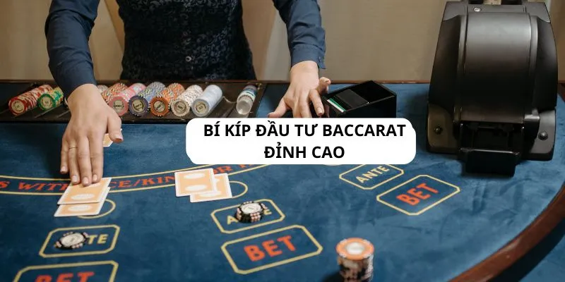 Mẹo chơi Baccarat hiệu quả dành cho tân binh