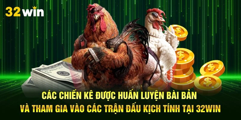 Bí quyết đặt cược đá gà 32WIN luôn thắng