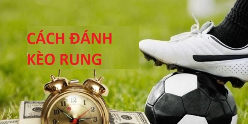 Cách tính odds và thời điểm vàng khi đặt kèo rung