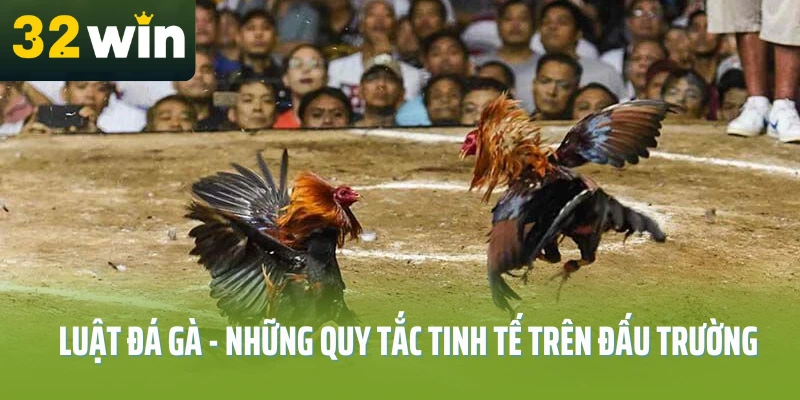 Hướng dẫn tham gia sảnh đá gà chi tiết