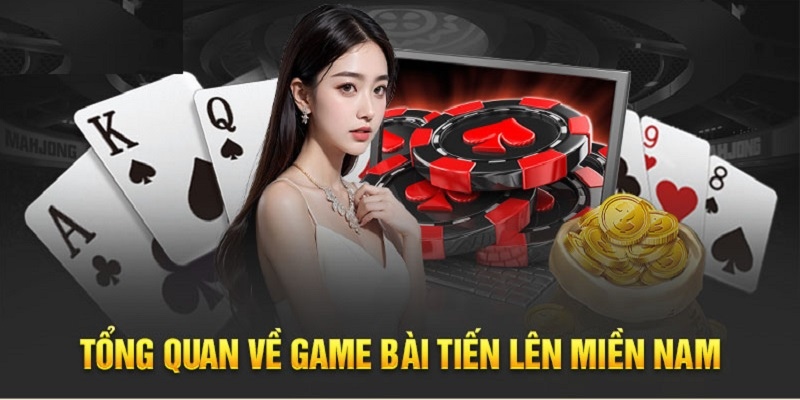 Thuật ngữ quan trọng khi học cách chơi bài tiến lên